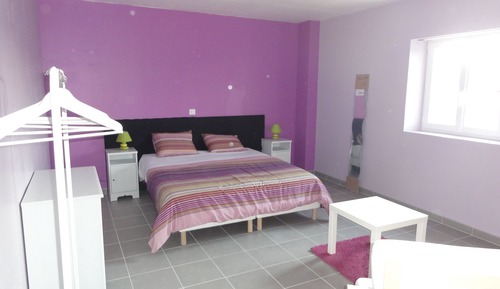 Double or Twin Room (Tulipe)