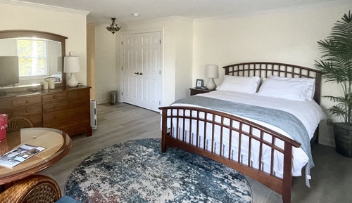 Room, 1 King Bed, Patio, Ground Floor (6)