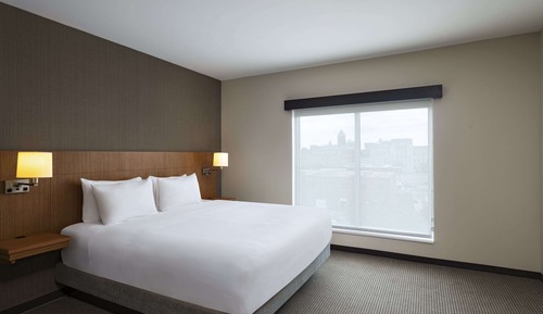 Room, 1 King Bed with Sofa bed