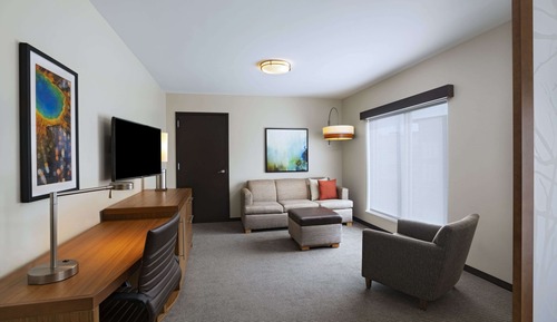 Suite, 1 King Bed with Sofa bed