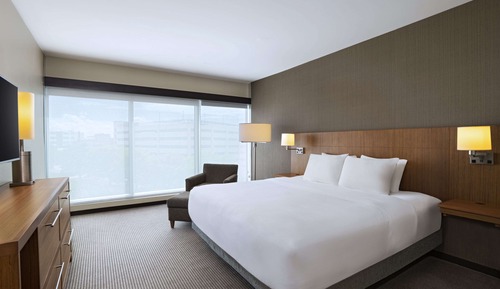 Room, 1 King Bed with Sofa bed (Speciality)