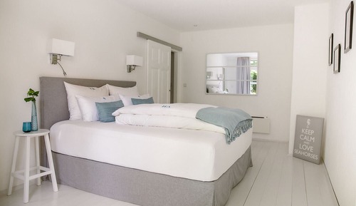 Comfort Apartment, 1 Queen Bed with Sofa bed, Lake View