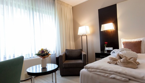 Executive Double Room Single Use