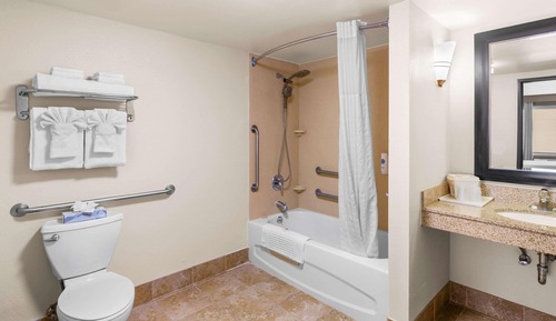 Suite, 1 King Bed with Sofa bed, Accessible, Non Smoking