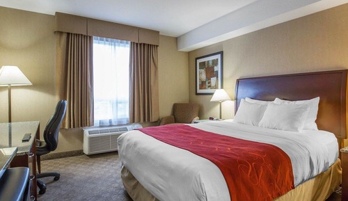 Standard Room, 1 Queen Bed, Non Smoking