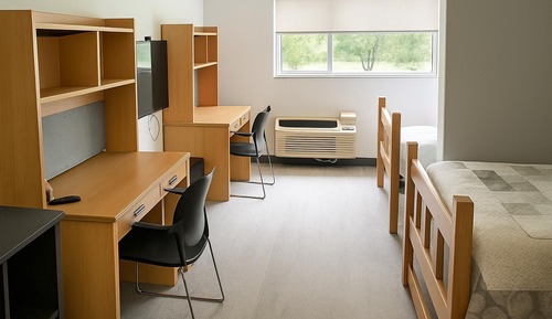 Basic Double Room