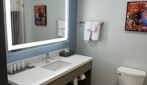 Room, 1 King Bed, Accessible, Non Smoking (Mobility, Roll-In Shower Bars)