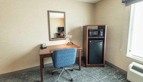 Room, 1 King Bed, Accessible (Roll-In Shower)