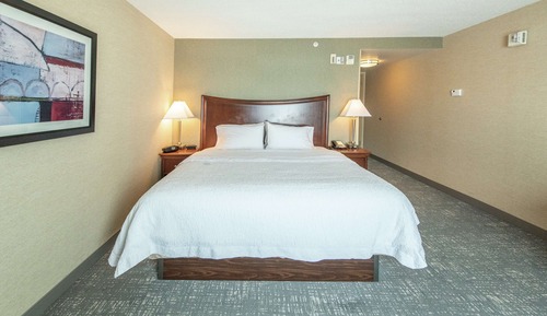 Room, 1 King Bed, Accessible (Hearing)