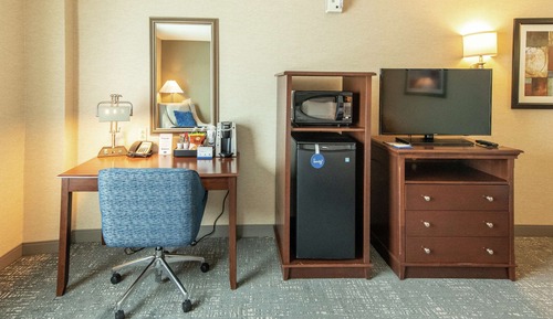 Room, 1 King Bed, Accessible (Roll-In Shower)