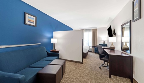 Suite, 1 King Bed with Sofa bed, Non Smoking