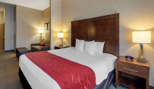 Suite, 1 King Bed with Sofa bed, Accessible, Non Smoking