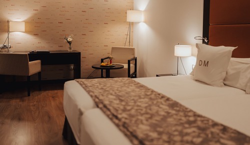 Double Room Single Use