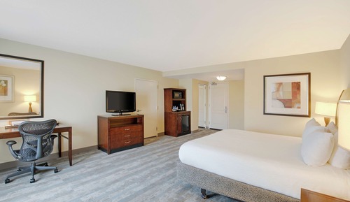 Room, 1 King Bed, Accessible