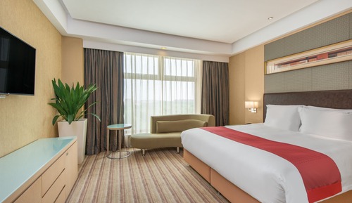 Executive Studio Suite