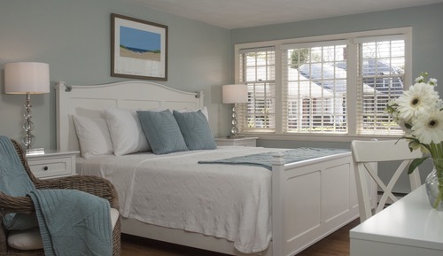 Room, 1 King Bed