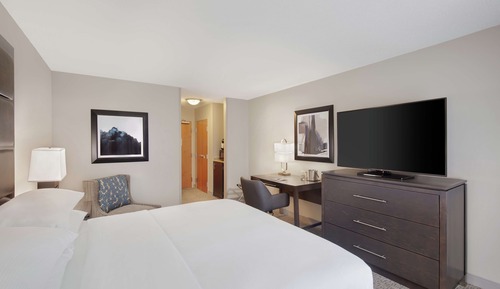 Room, 1 King Bed