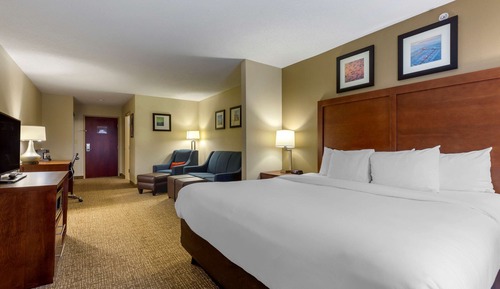 Standard Room, 1 King Bed, Non Smoking