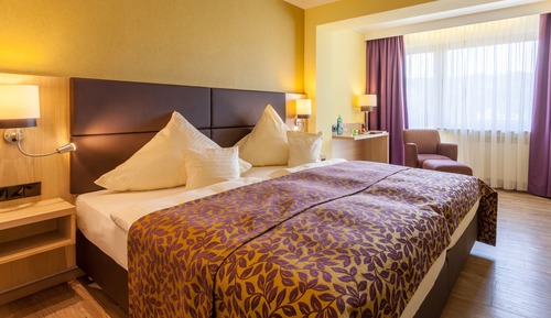 Standard Double Room Single Use