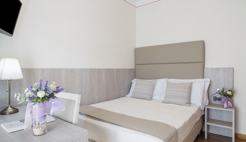 Superior Single Room
