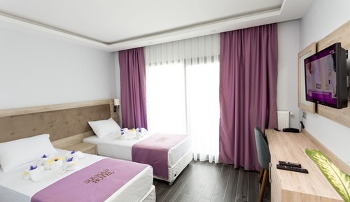 Superior Double or Twin Room