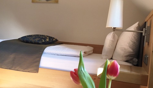 Comfort Single Room, Resort View