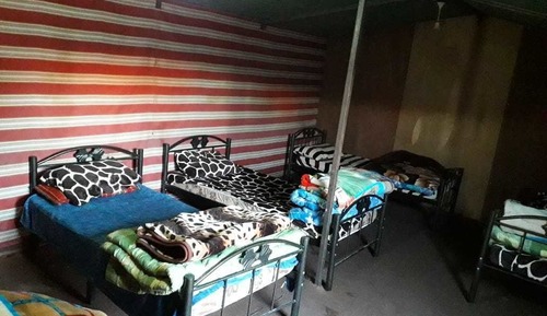 Basic Tent, 2 Twin Beds, Hill View