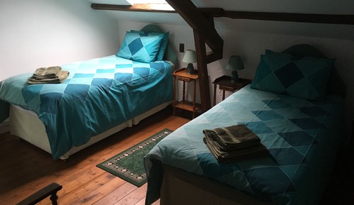 Twin Room (Green, 14 sq m)
