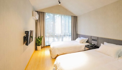 Elegant Twin Room