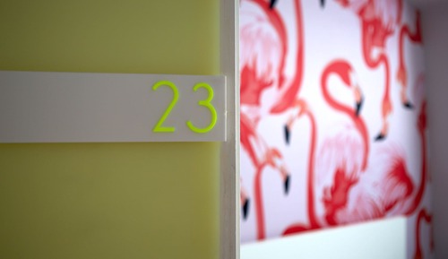 No. 23 - Pink Flamingo