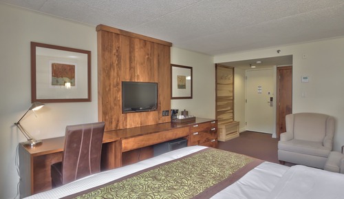 Room, 1 King Bed