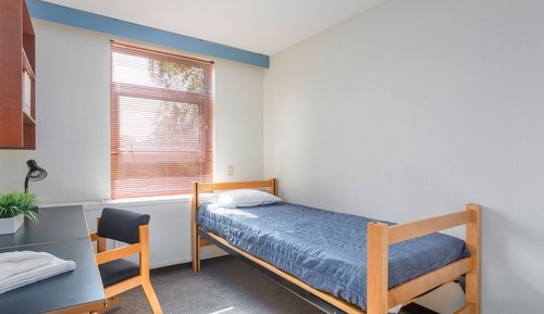 Basic Single Room, 1 Twin Bed