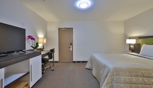 Honeymoon Single Room, 1 Queen Bed
