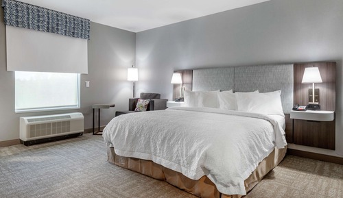 Room, 1 King Bed, Accessible (Roll-In Shower)