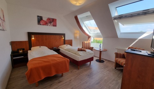 Basic Double Room
