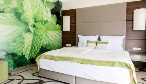 Superior Double Room, 1 Double Bed, Non Smoking