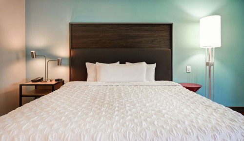 Room, 1 King Bed