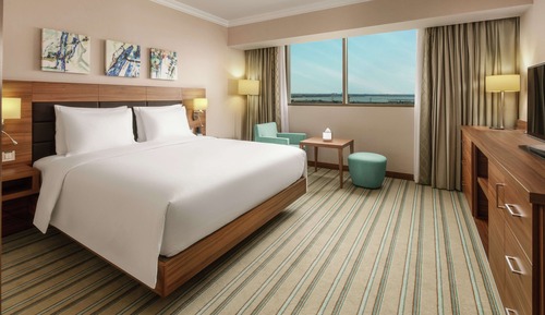Room, 1 King Bed