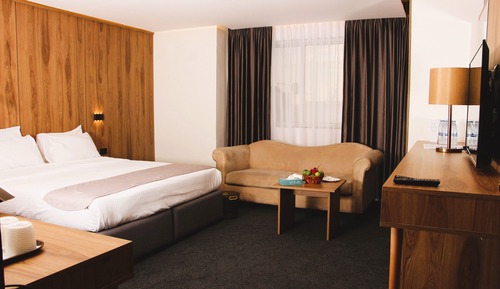 City Room, 1 King Bed, City View