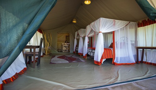 Tent, Park View