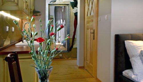 Comfort Double Room Single Use (8)