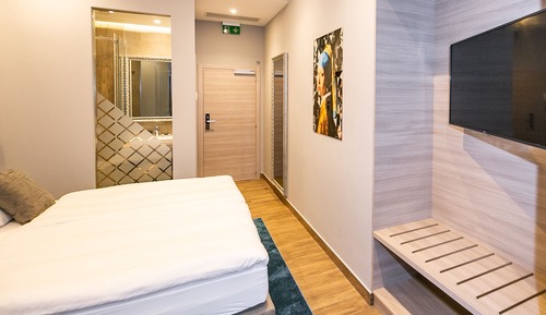 Standard Double Room (205)