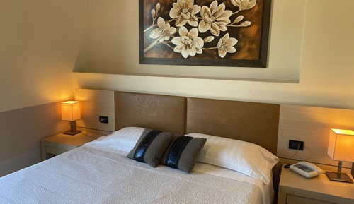 Deluxe Double Room Single Use