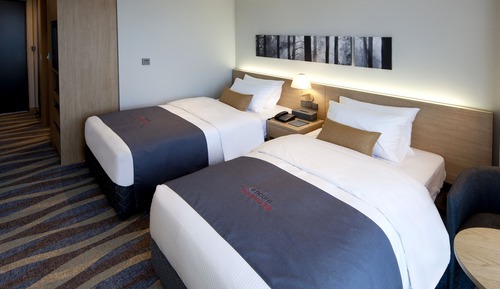 Family Twin Room