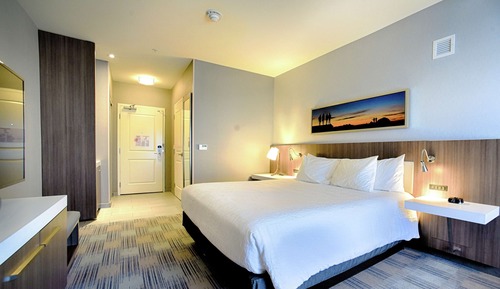 Room, 1 King Bed, Accessible, Non Smoking (w/ roll-in shower)