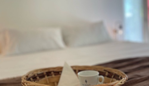 Basic Double Room