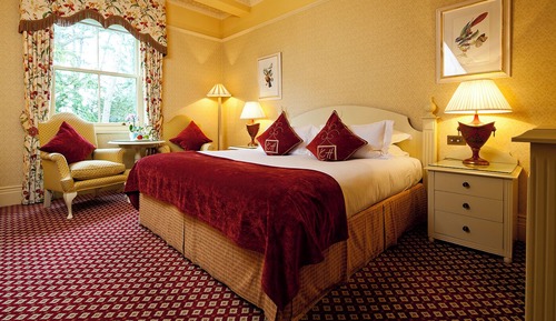 Garden King Room