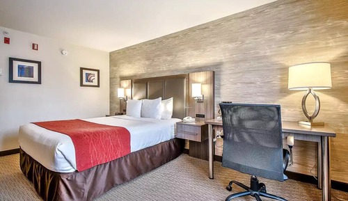 Standard Room, 1 King Bed