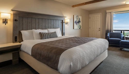 Room, 1 Queen Bed