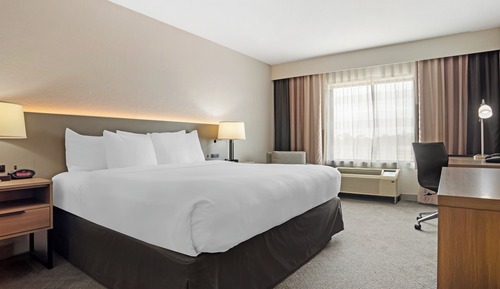 Standard Room, 1 King Bed, Non Smoking
